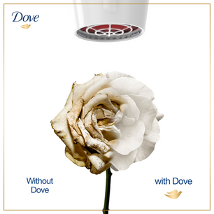 Dove Shampoo Intense Repair 175 ml