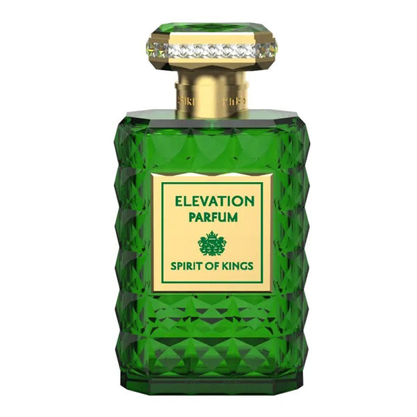 ELEVATION PARFUM 100ML