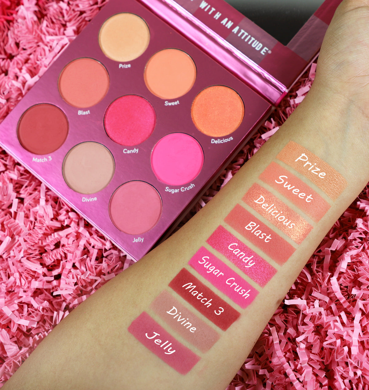 Blush Crush 9 Color Blush Palette