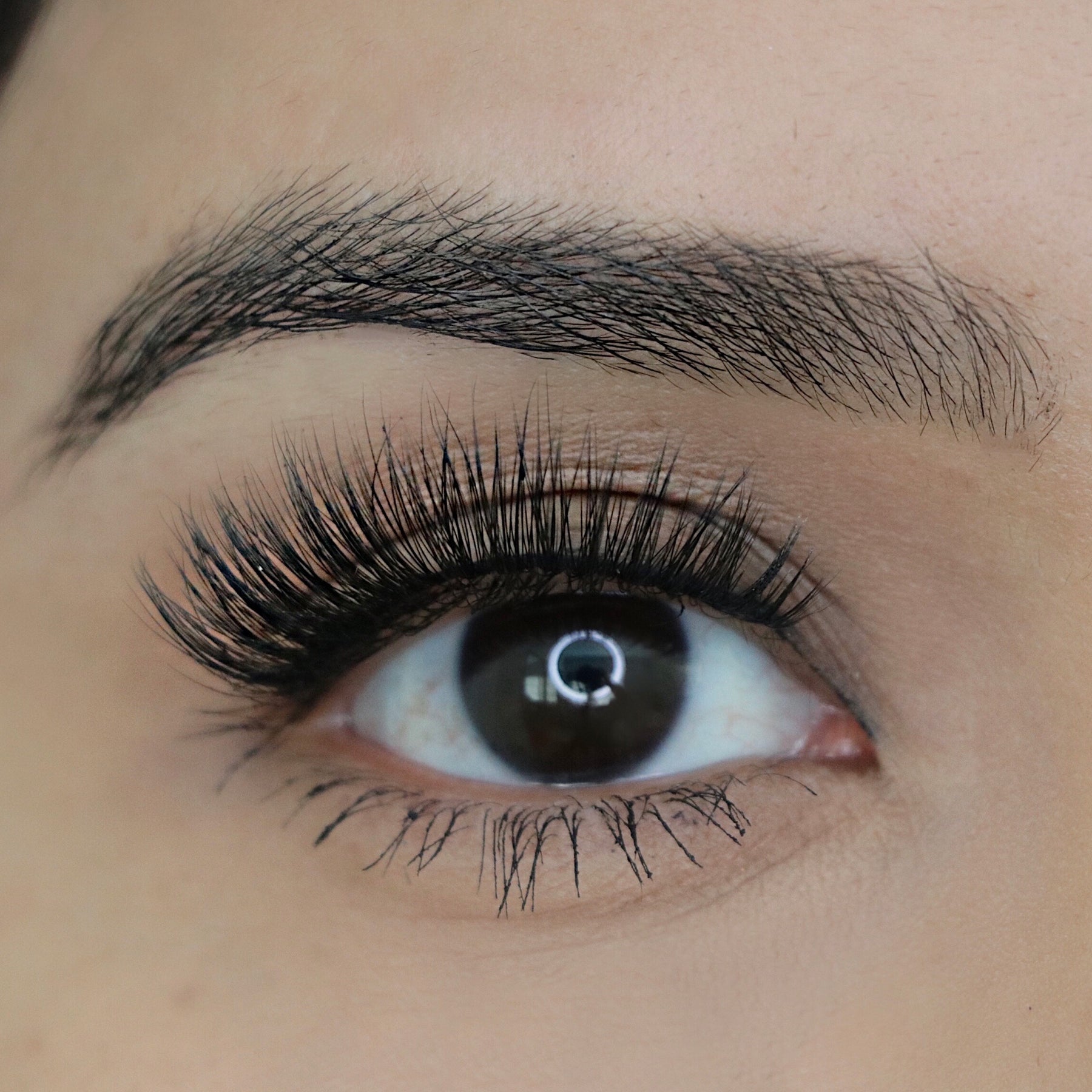 Big Fan™ Star Struck Lashes