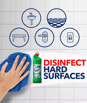 DOMEX TOILET GREEN PI6 24X500ML