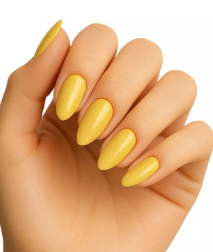 Pierre Cardin Paris Studio Nails