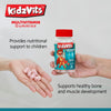 Kidzvits multivitamin gummies - fruit flavored vitamin jellies