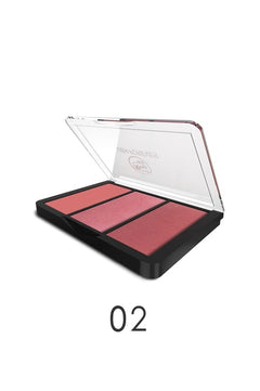 Rivaj Ds-343 (02) Forever 3 Blusher Kit