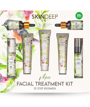 Skin deep mini facial treatment kit